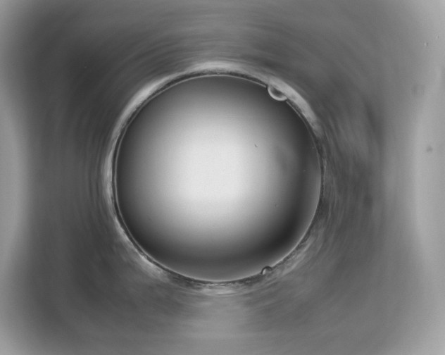 X0000113111199200908281402