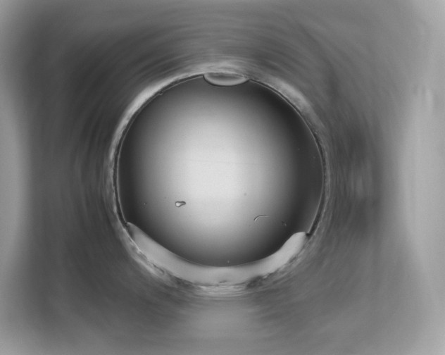 X0000113111200200908281402