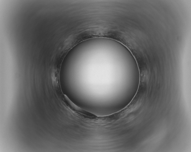 X0000113111202200908281401