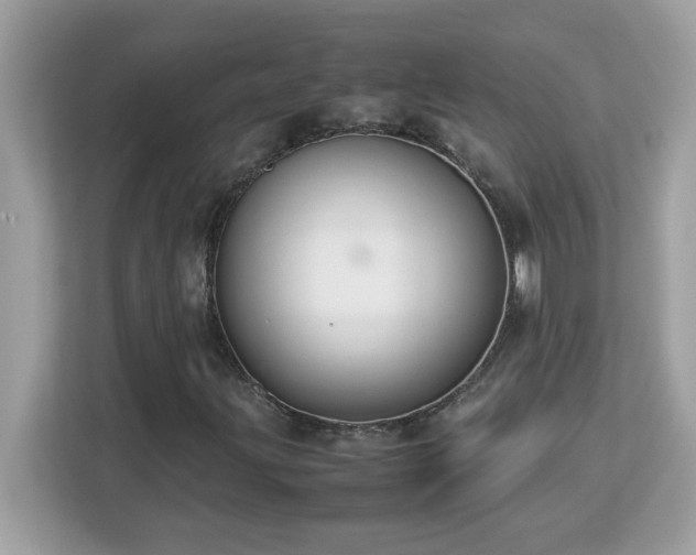 X0000113111203200908281401