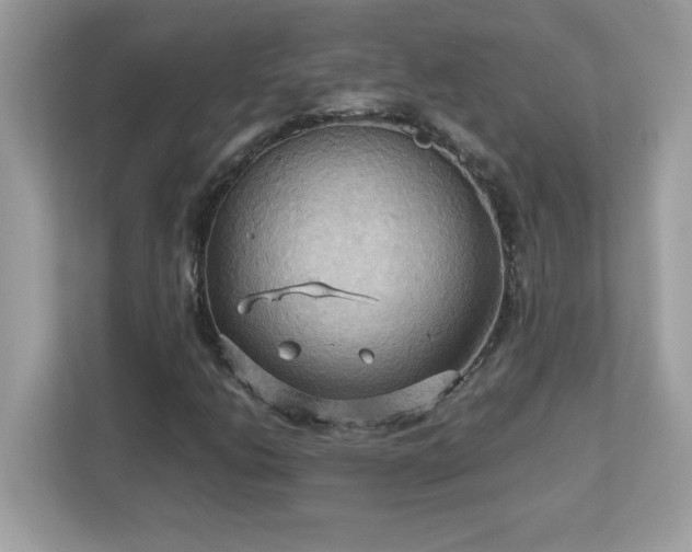 X0000113111206200908281401