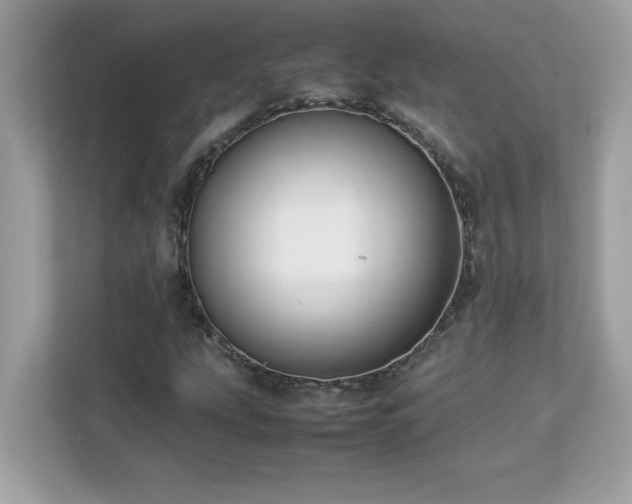 X0000113111207200908281401