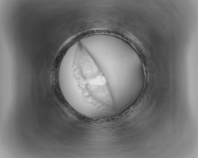X0000113111208200908281401