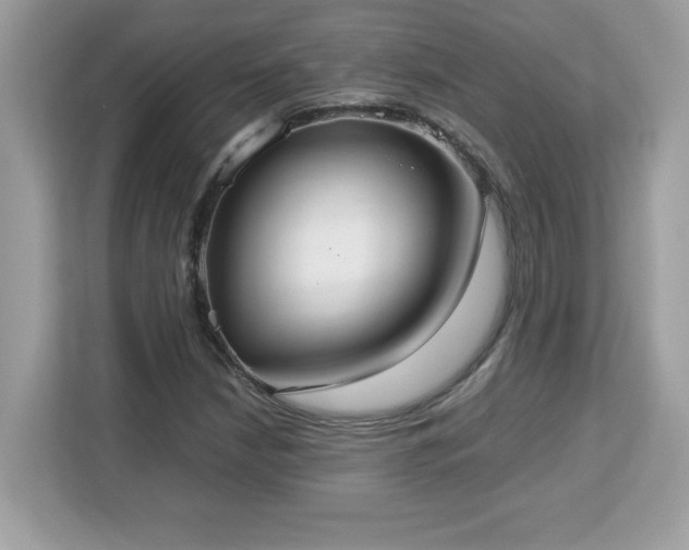 X0000113111210200908281401