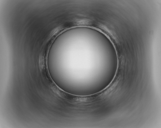 X0000113111211200908281401