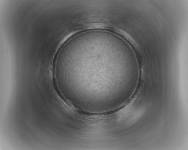 X0000113111212200908281401