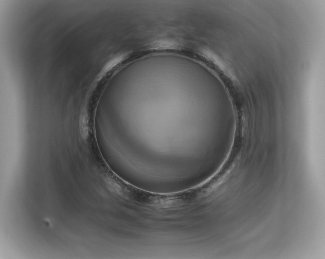 X0000113111213200908281401