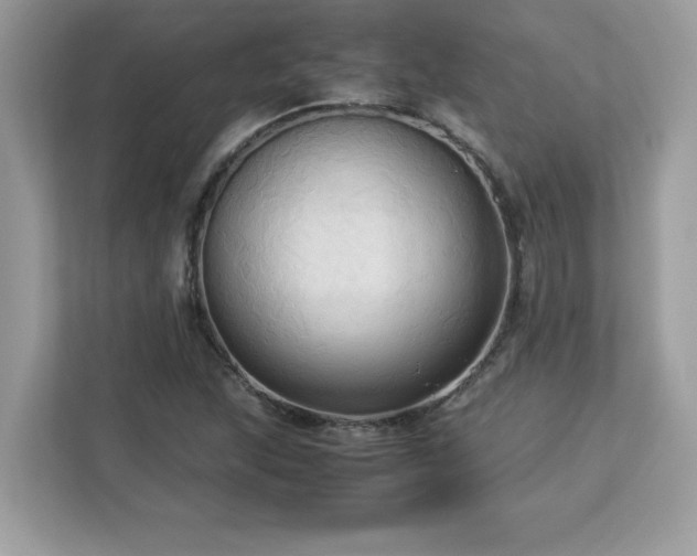 X0000113111215200908281401