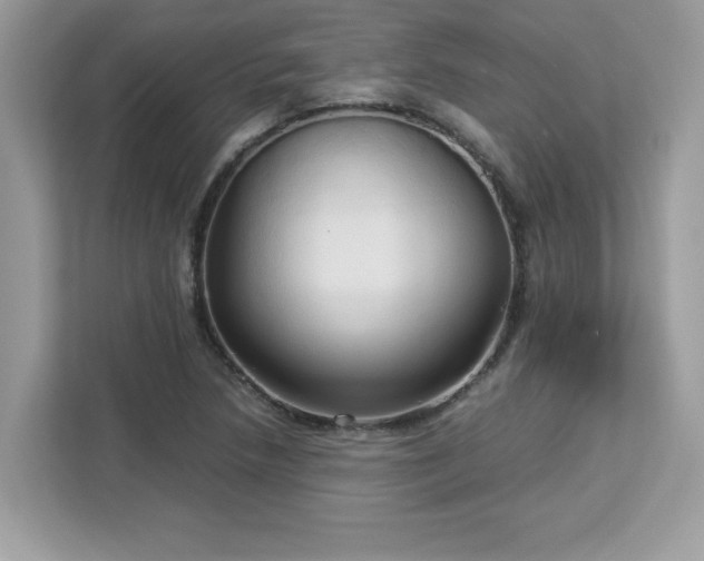 X0000113111218200908281401