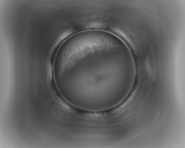 X0000113111219200908281401
