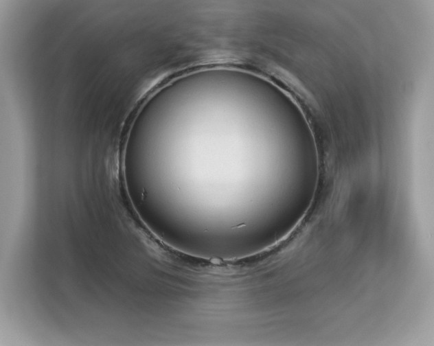 X0000113111220200908281401