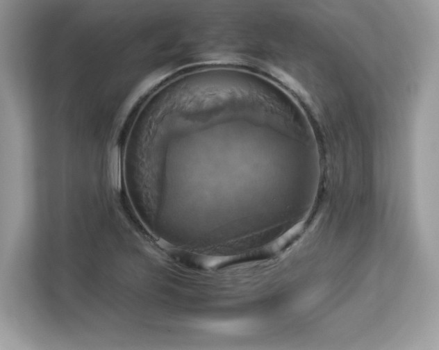 X0000113111223200908281401