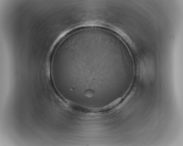 X0000113111224200908281401