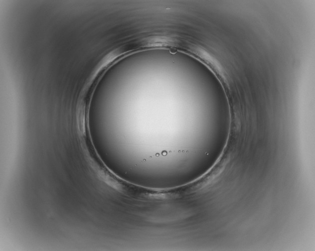 X0000113111227200908281401