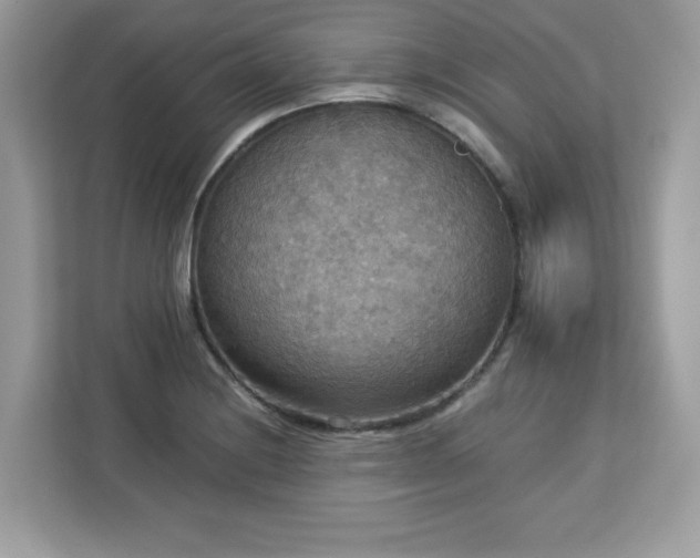 X0000113111228200908281401
