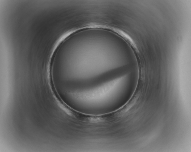 X0000113111231200908281401