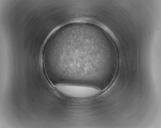 X0000113111232200908281402