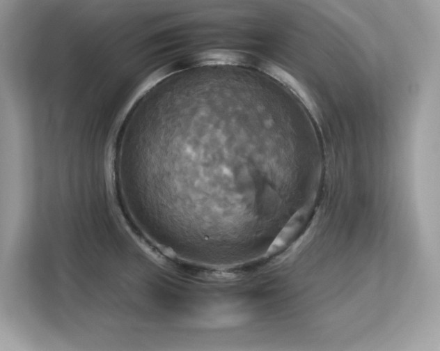 X0000113111235200908281402