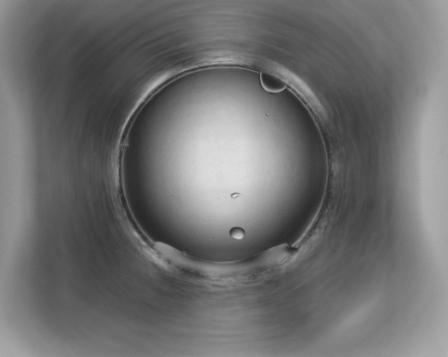 X0000113111236200908281402