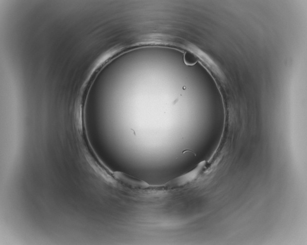 X0000113111238200908281402