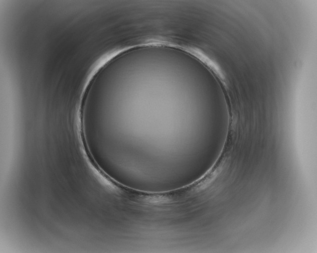 X0000113111239200908281402