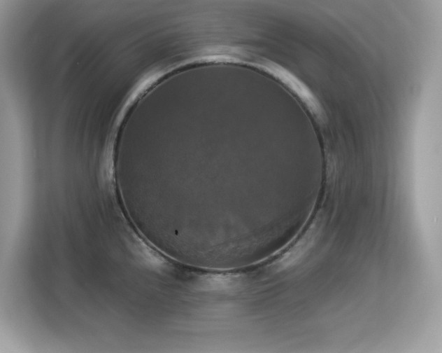 X0000113111240200908281402