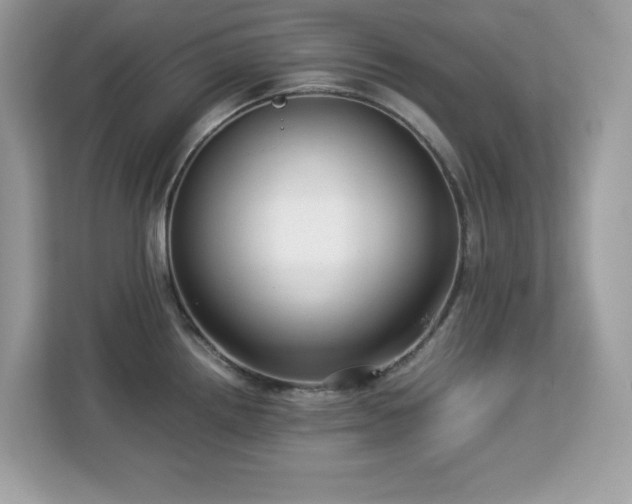 X0000113111242200908281402