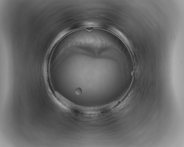 X0000113111243200908281402