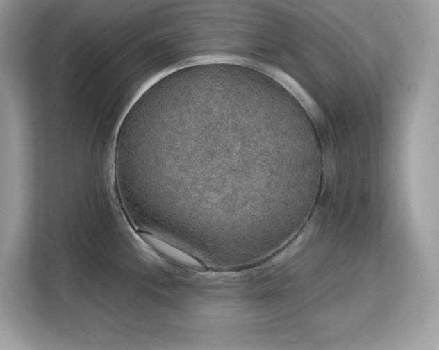 X0000113111244200908281402