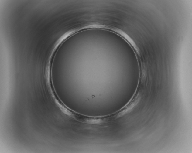 X0000113111245200908281402