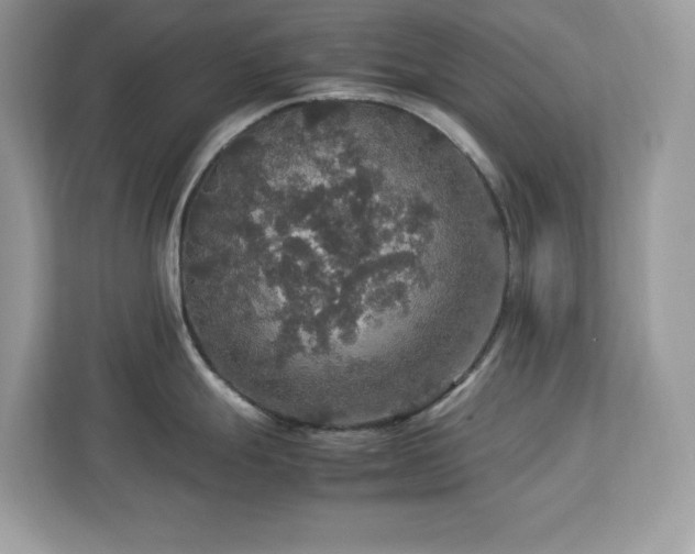 X0000113111247200908281402