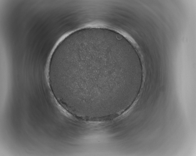 X0000113111248200908281402