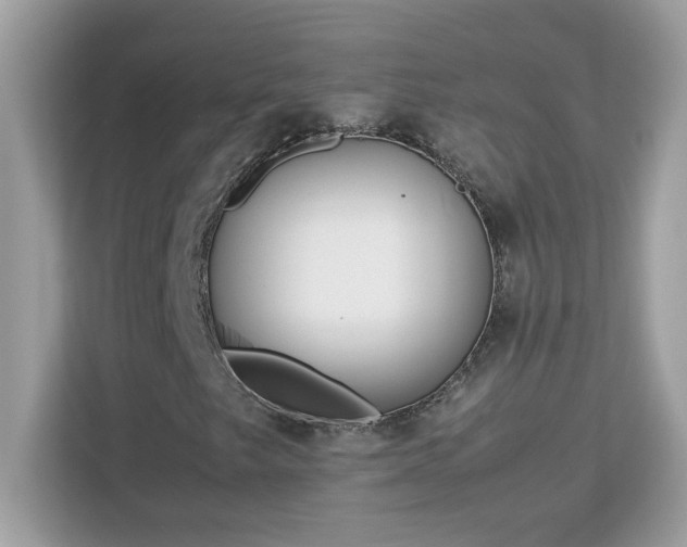 X0000113111249200908281401