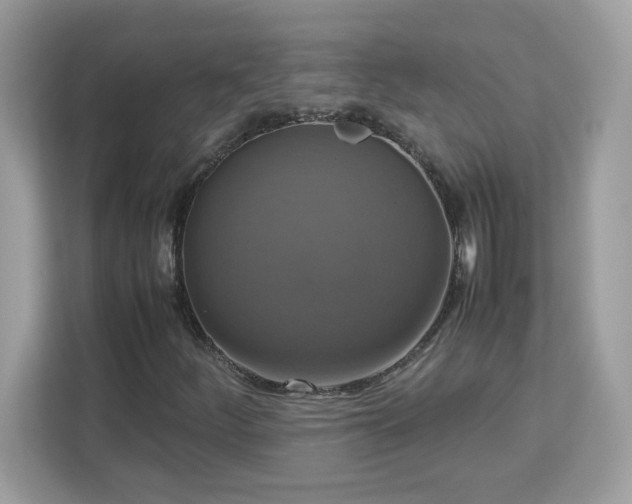 X0000113111252200908281401