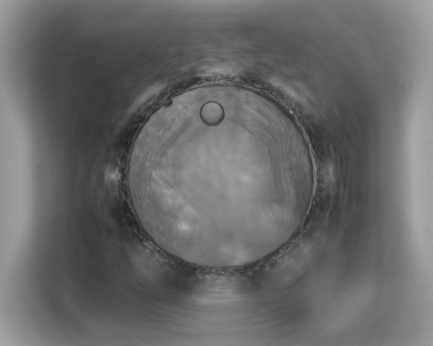 X0000113111254200908281401