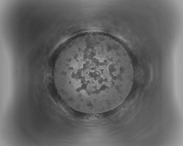 X0000113111255200908281401