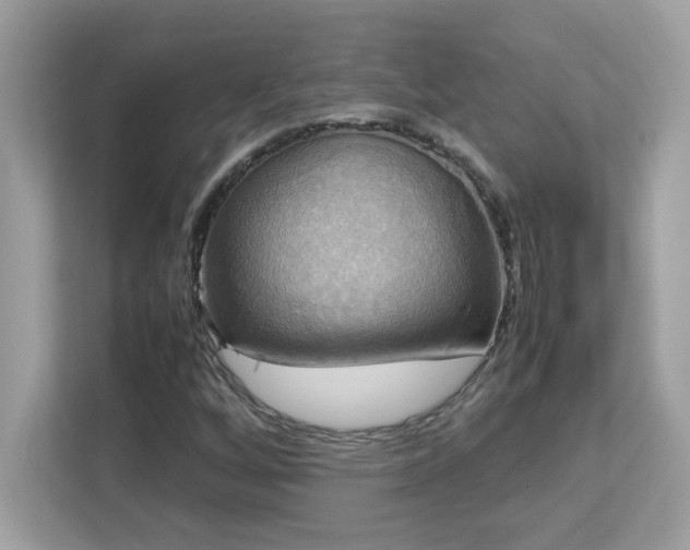 X0000113111256200908281401