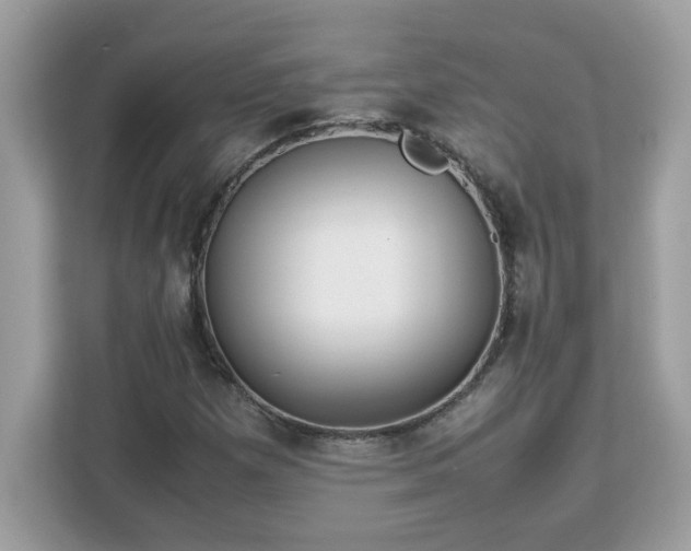 X0000113111257200908281401