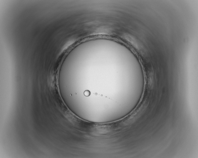 X0000113111258200908281401