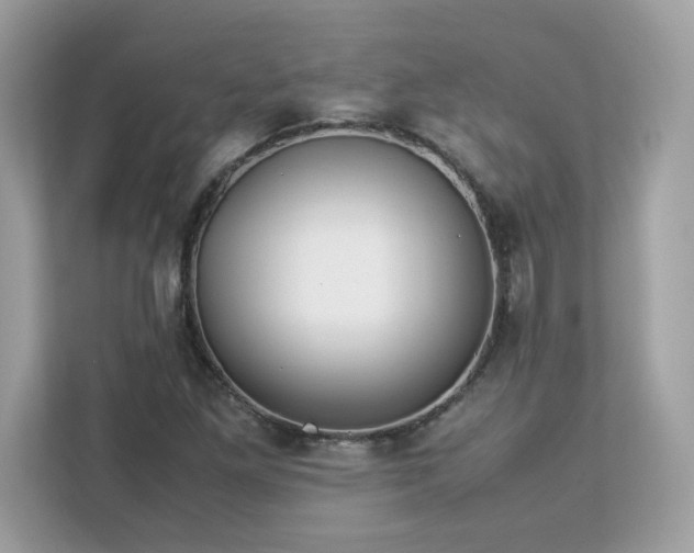 X0000113111261200908281401