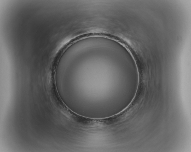 X0000113111263200908281401