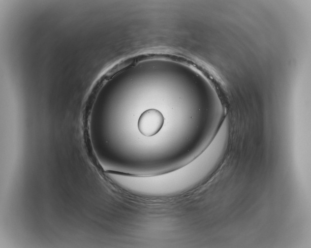 X0000113111264200908281401