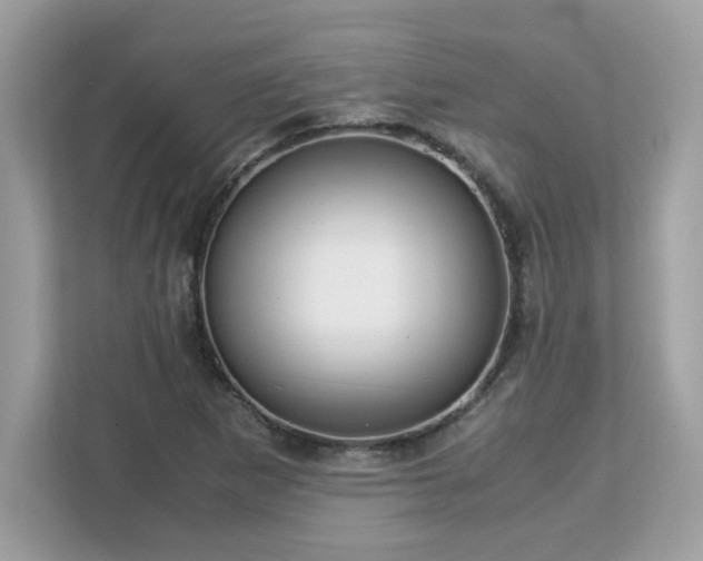 X0000113111265200908281401