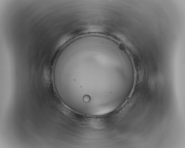 X0000113111266200908281401