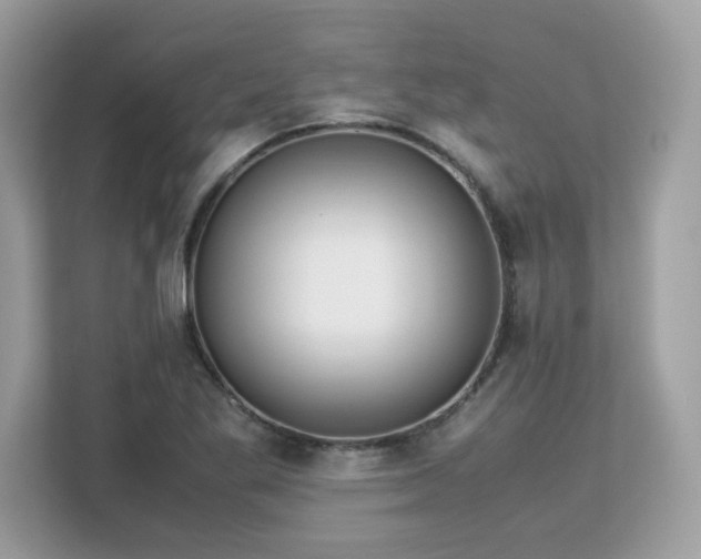 X0000113111269200908281401