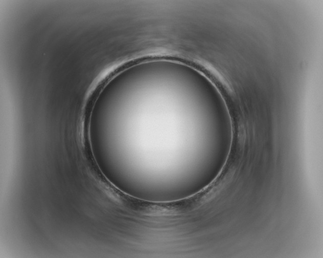 X0000113111270200908281401