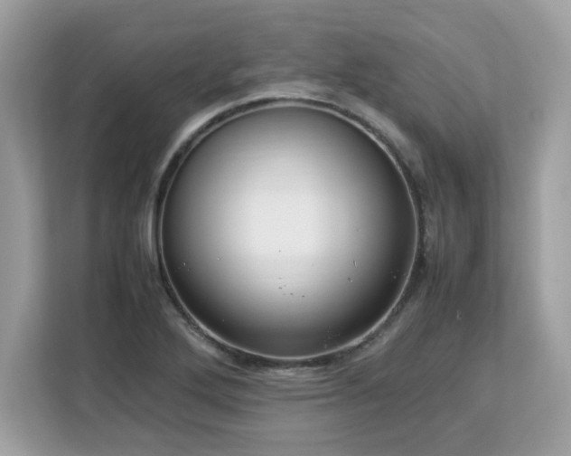 X0000113111272200908281401