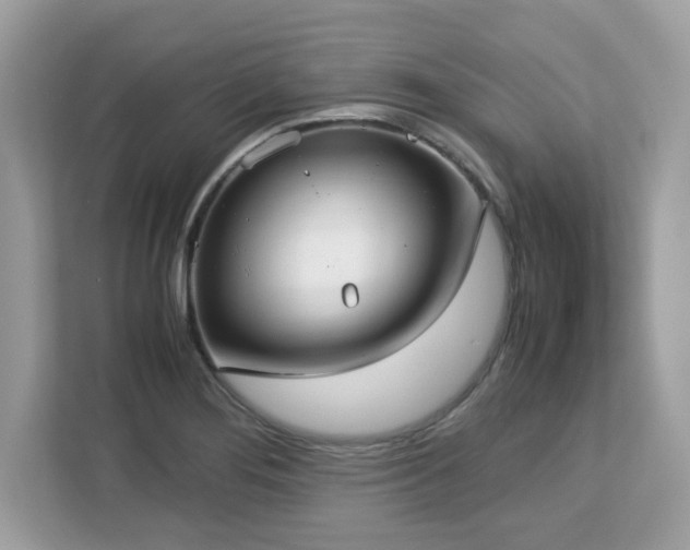 X0000113111276200908281401