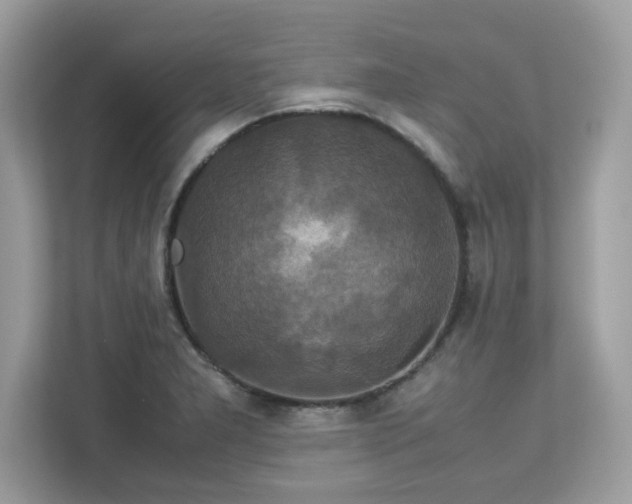 X0000113111277200908281401