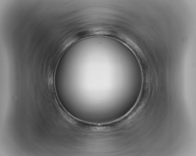 X0000113111281200908281401